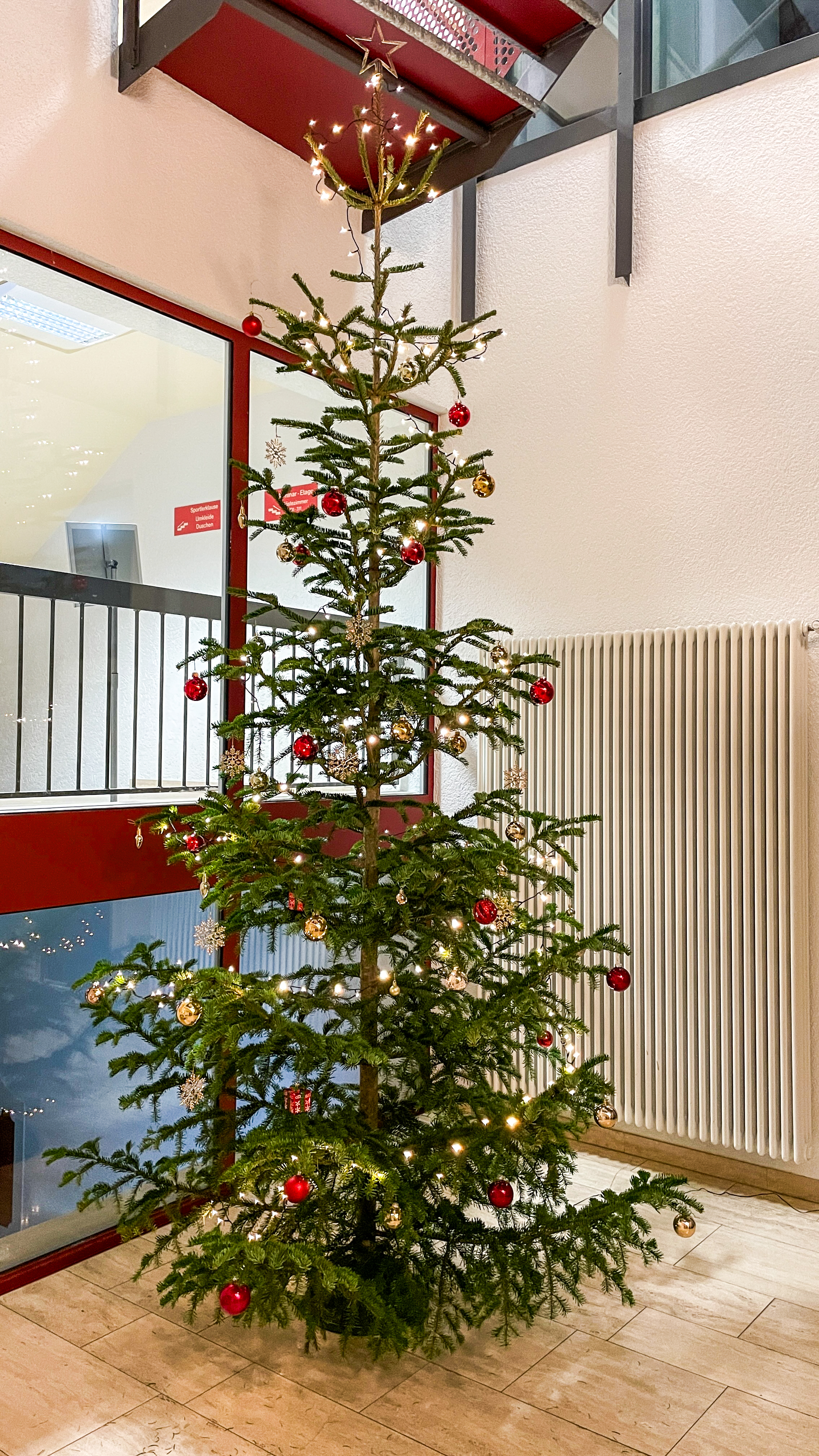 Weihnachtsbaum Albstadt